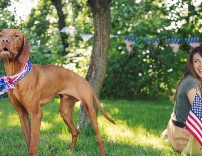 4 Ways to Spend the 4th of July with Your Furry Friends