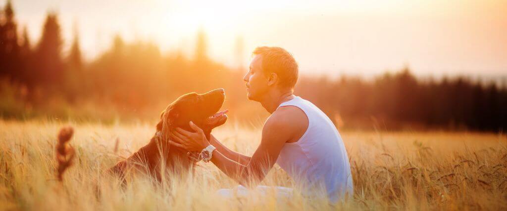 A dog and owner embracing in a field during sunset